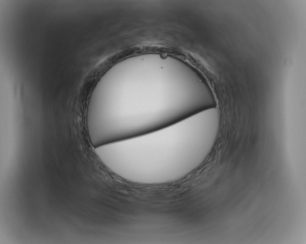 X0000114641303200910200932