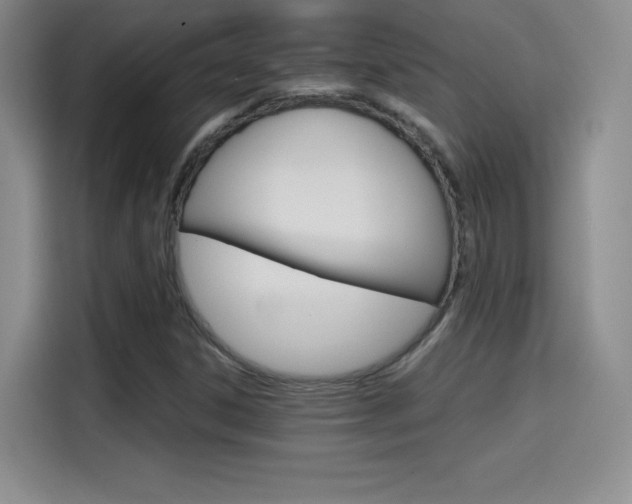X0000114641306200910200932