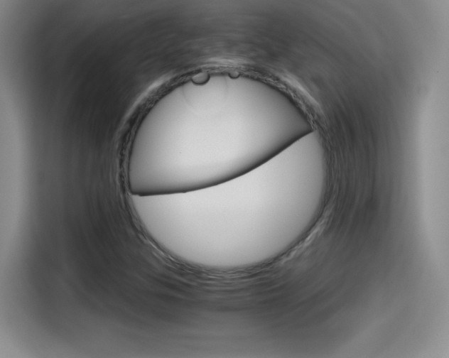 X0000114641307200910200932