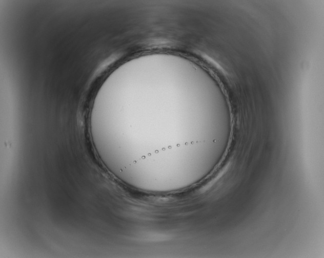 X0000114641309200910200933