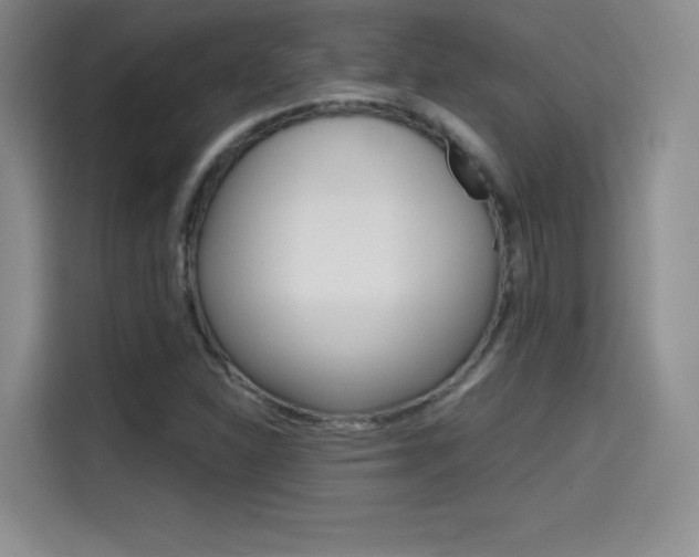 X0000114641310200910200933