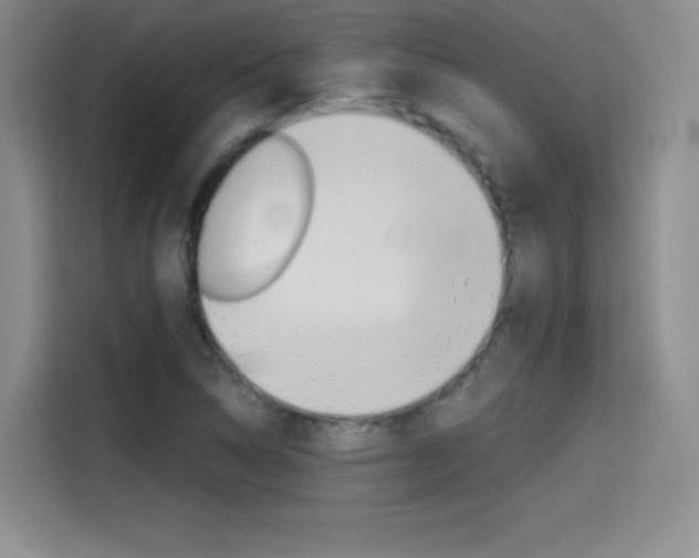 X0000114641314200910200933
