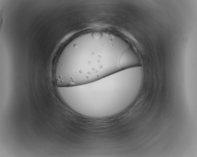 X0000114641315200910200933