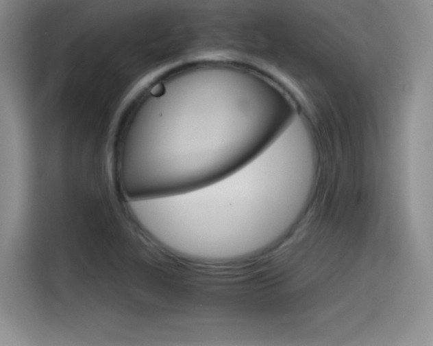 X0000114641319200910200933