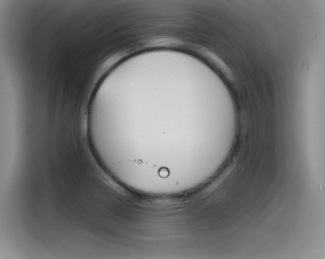 X0000114641322200910200933