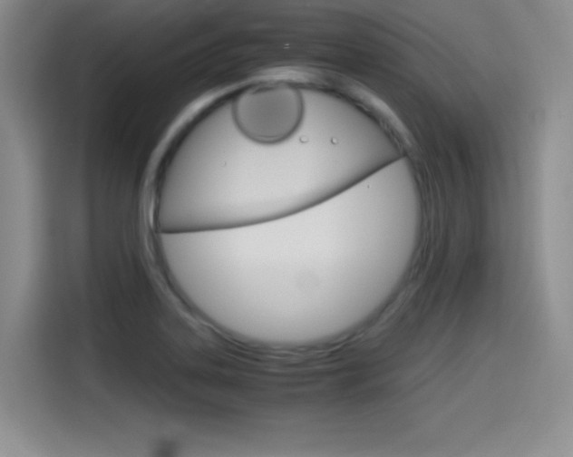 X0000114641323200910200933