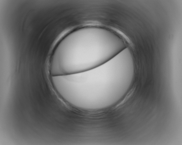 X0000114641325200910200933
