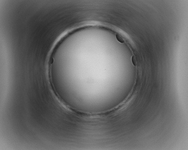 X0000114641326200910200933