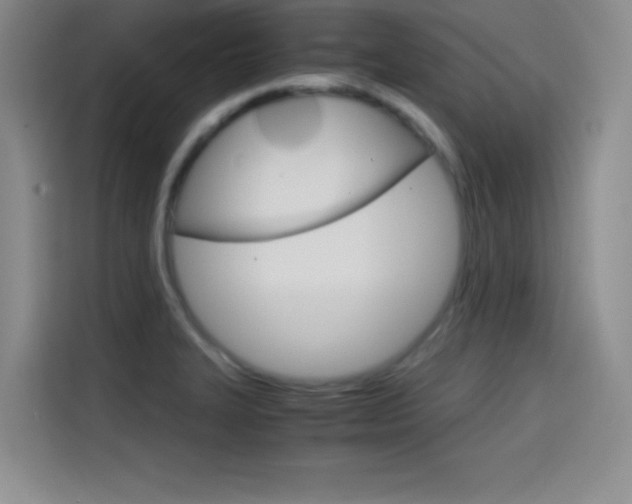 X0000114641327200910200933