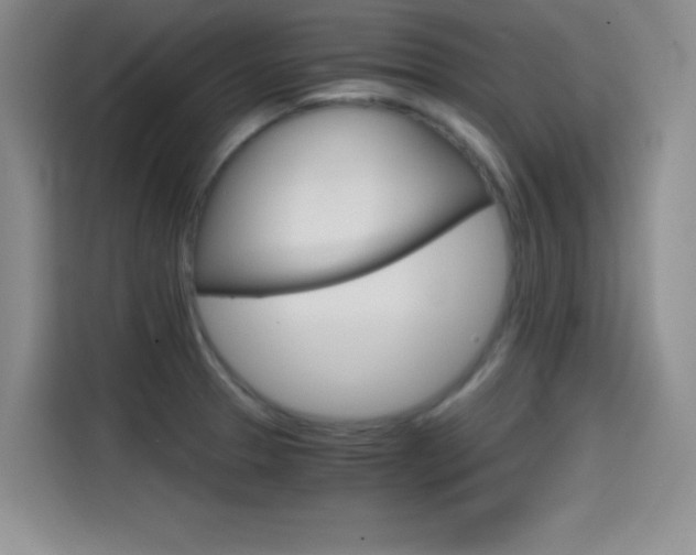 X0000114641329200910200933