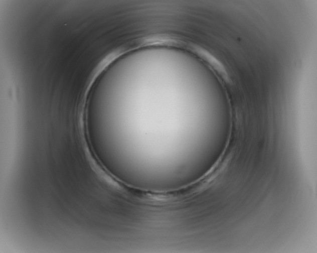 X0000114641330200910200933