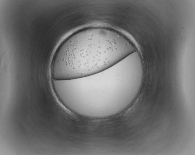 X0000114641335200910200933