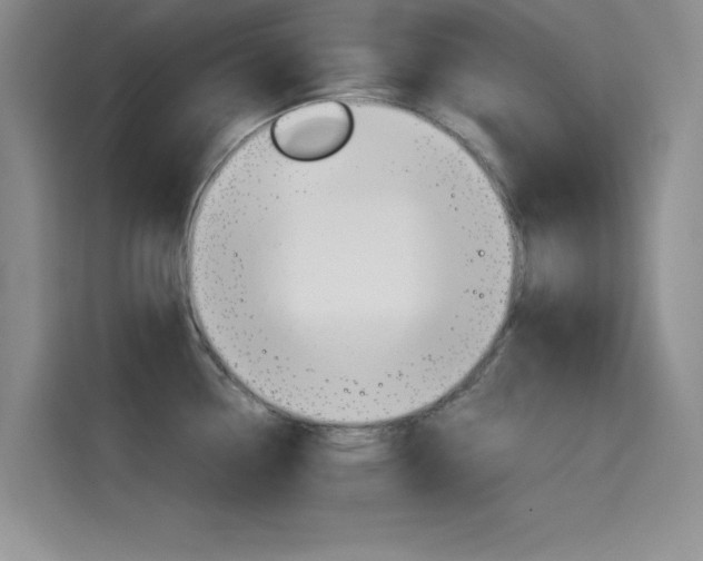 X0000114641338200910200933