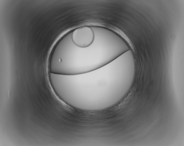 X0000114641339200910200933