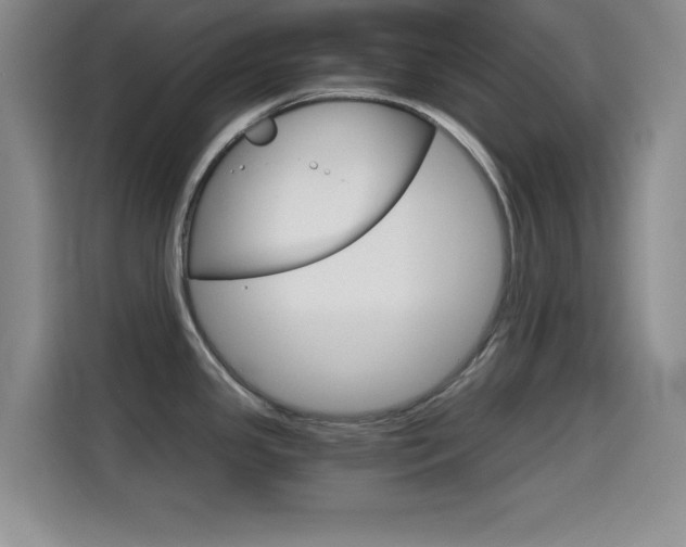 X0000114641341200910200933