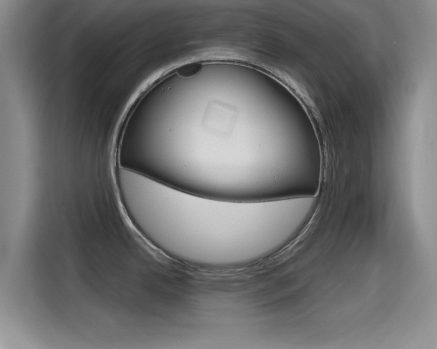 X0000114641342200910200933
