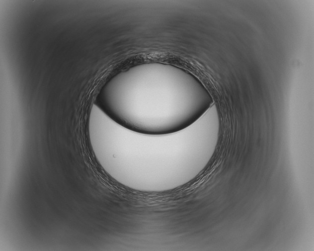 X0000114641345200910200932
