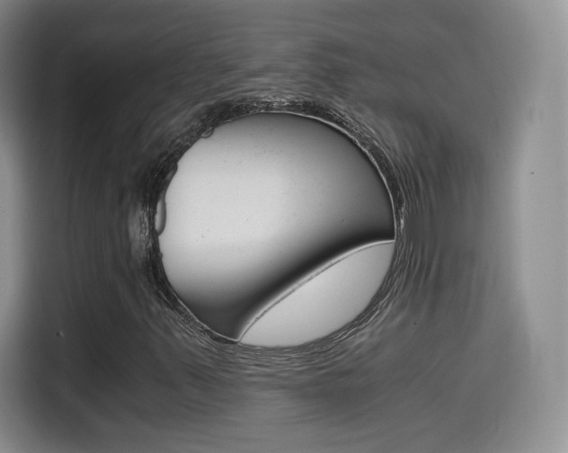 X0000114641347200910200932