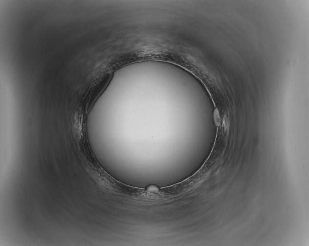 X0000114641348200910200932