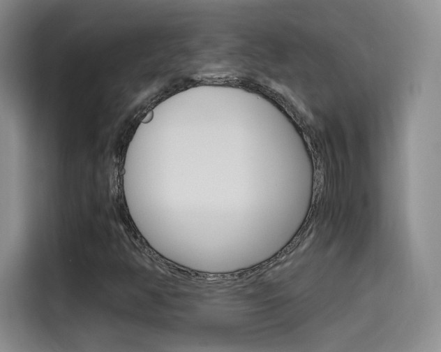 X0000114641350200910200932