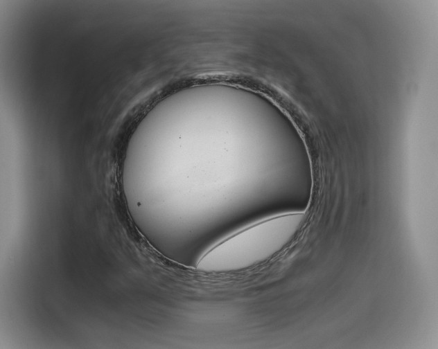 X0000114641351200910200932