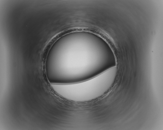X0000114641352200910200932