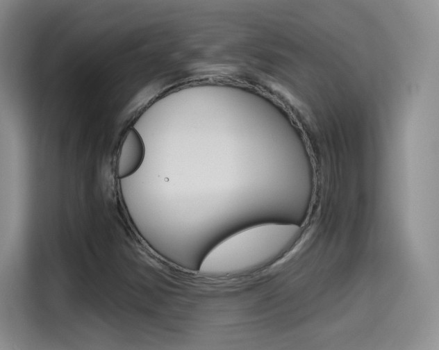 X0000114641354200910200932