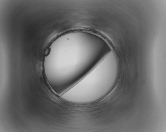 X0000114641355200910200932