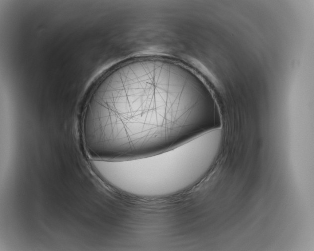 X0000114641356200910200932