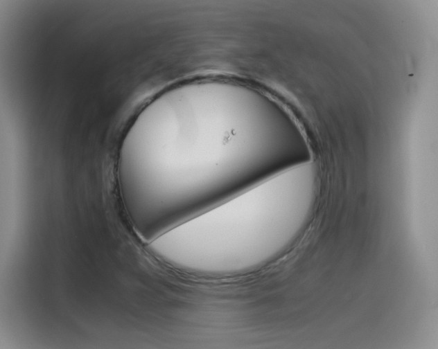 X0000114641359200910200932