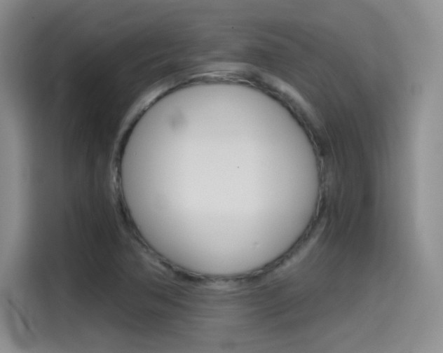 X0000114641362200910200932