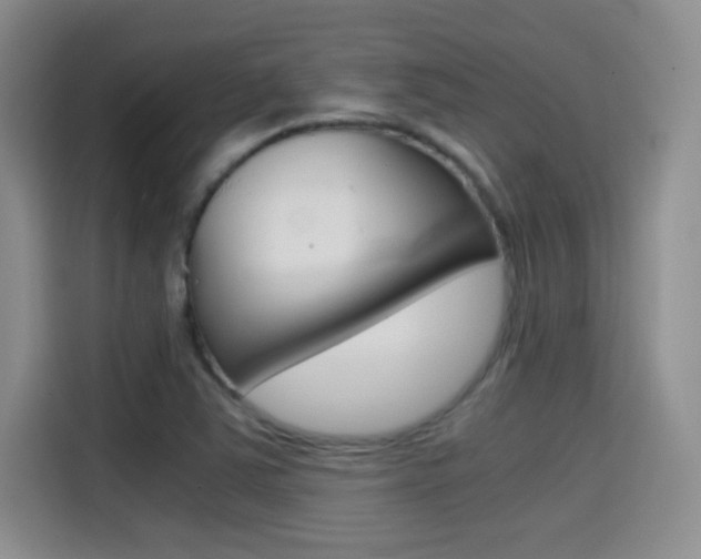 X0000114641363200910200932