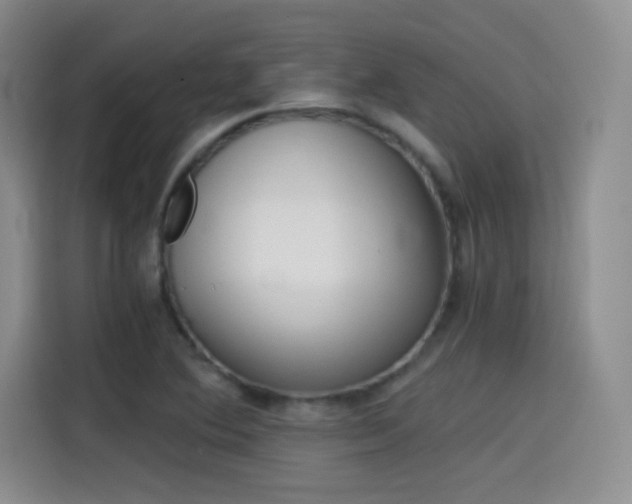 X0000114641364200910200932