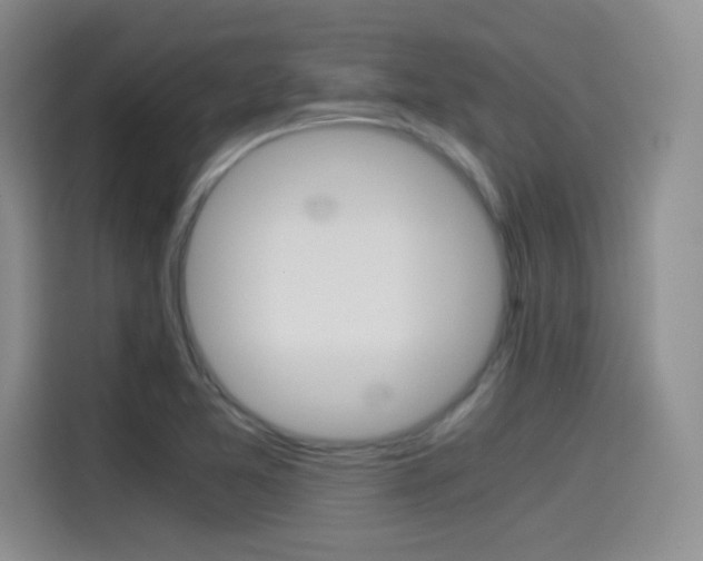 X0000114641365200910200932