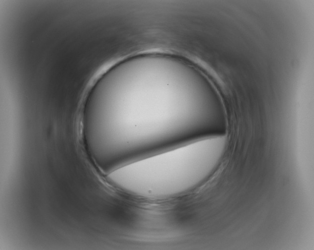 X0000114641367200910200932