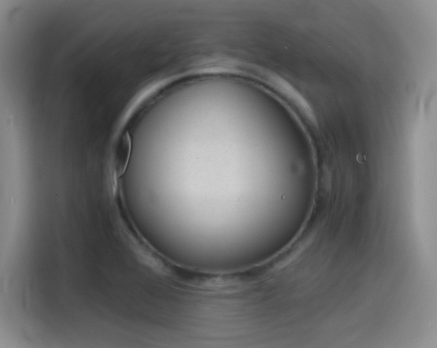 X0000114641368200910200932