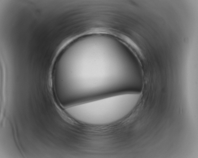 X0000114641372200910200932