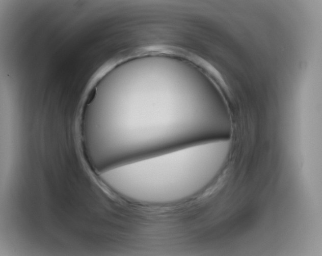 X0000114641373200910200932