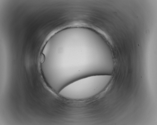 X0000114641374200910200932