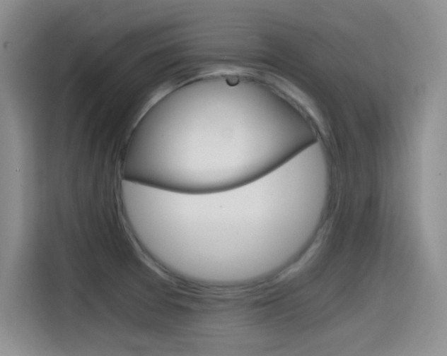 X0000114641377200910200932