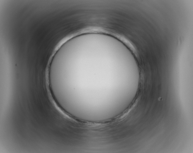 X0000114641382200910200932