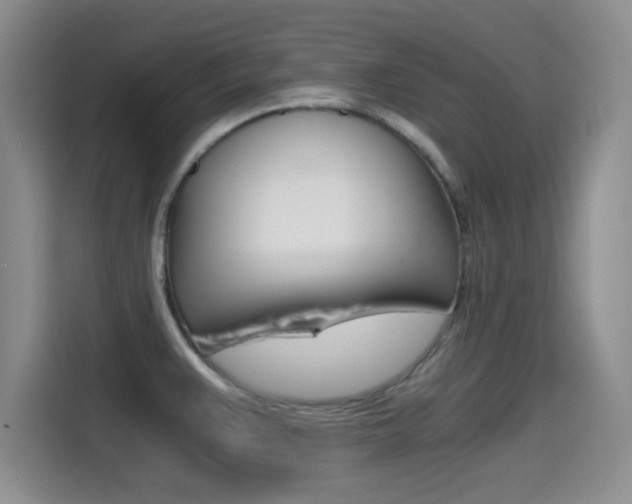 X0000114641383200910200932