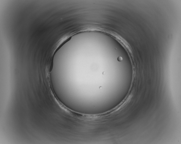 X0000114641385200910200932