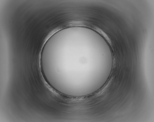 X0000114641386200910200932