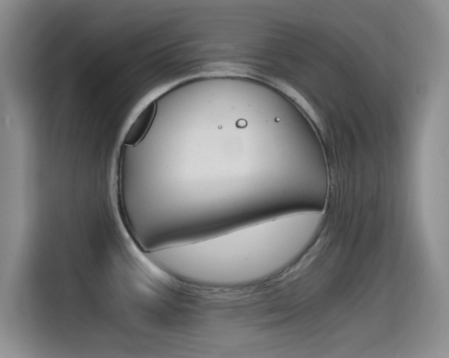 X0000114641387200910200932