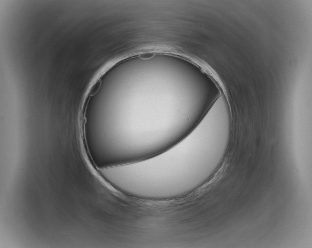 X0000114641389200910200932