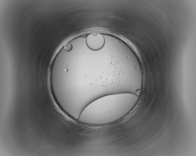 X0000114641390200910200932