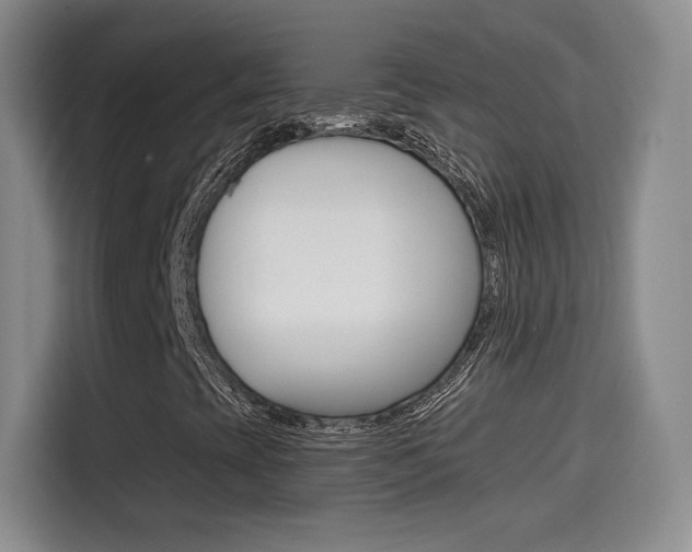 X0000114641393200910200931