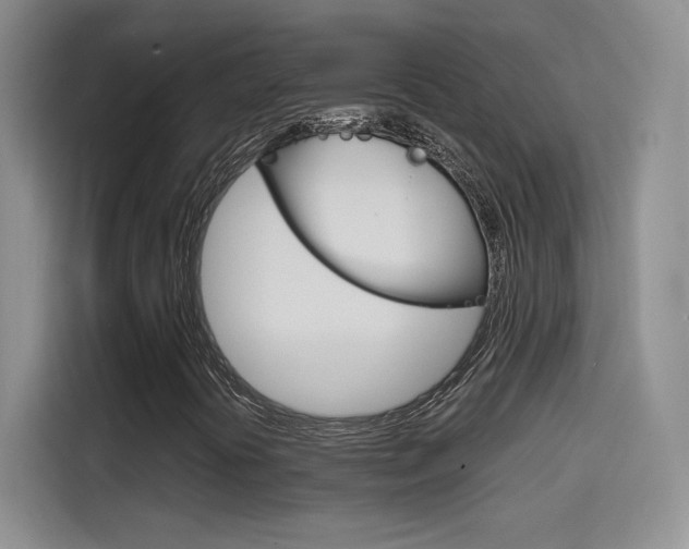 X0000114641394200910200931