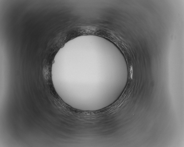X0000114641395200910200931